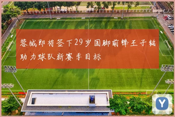 蓉城即将签下29岁国脚前锋王子铭助力球队新赛季目标