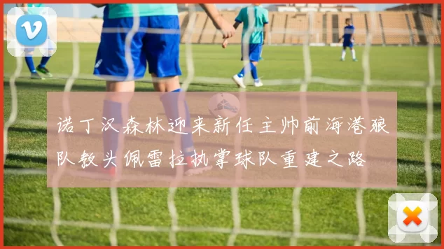 诺丁汉森林迎来新任主帅前海港狼队教头佩雷拉执掌球队重建之路