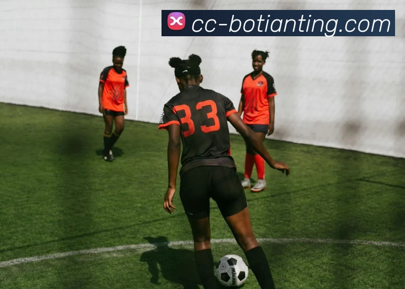 博天堂发展历程