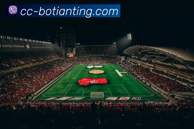 马竞关注伯恩茅斯中卫塞内西身价2200万欧不占非欧名额