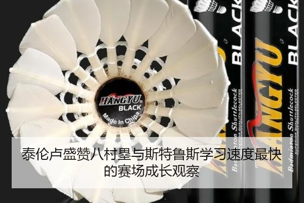 泰伦卢盛赞八村塁与斯特鲁斯学习速度最快的赛场成长观察